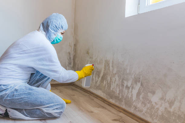 Crawl Space Mold Remediation treatment of floor joists in Sterling